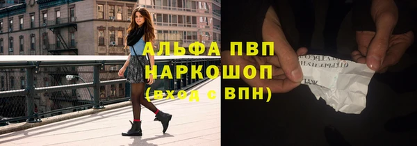 ПСИЛОЦИБИНОВЫЕ ГРИБЫ Магас