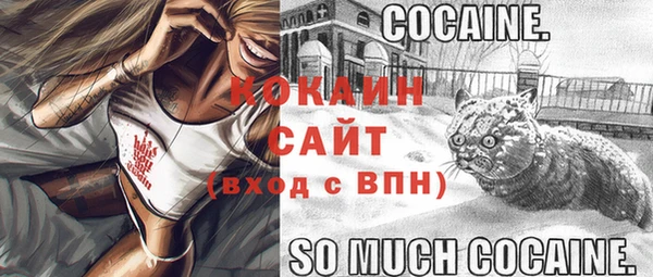 спиды Лагань