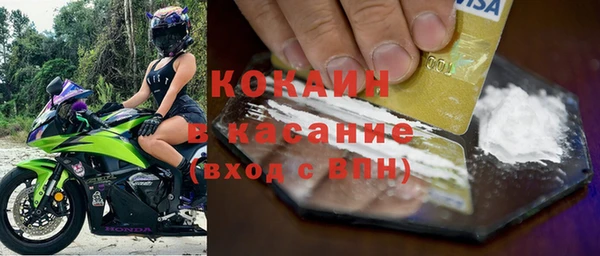 гашик Майский