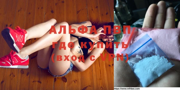 спиды Лагань