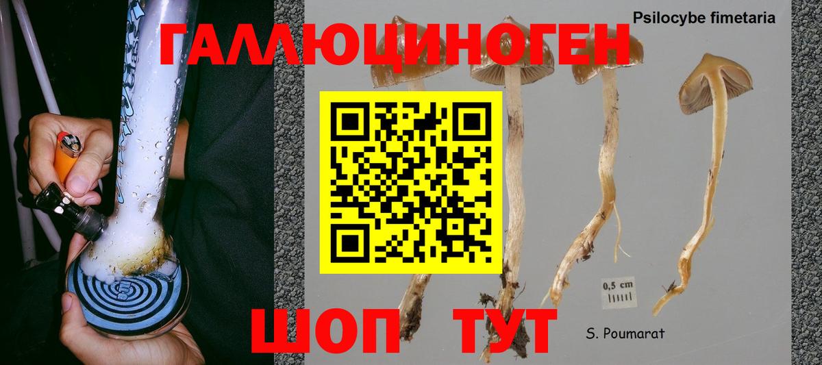 Галлюциногенные грибы прущие грибы  Вход с VPN  Ливны 
