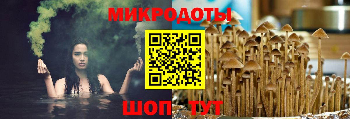 Галлюциногенные грибы мухоморы Ливны